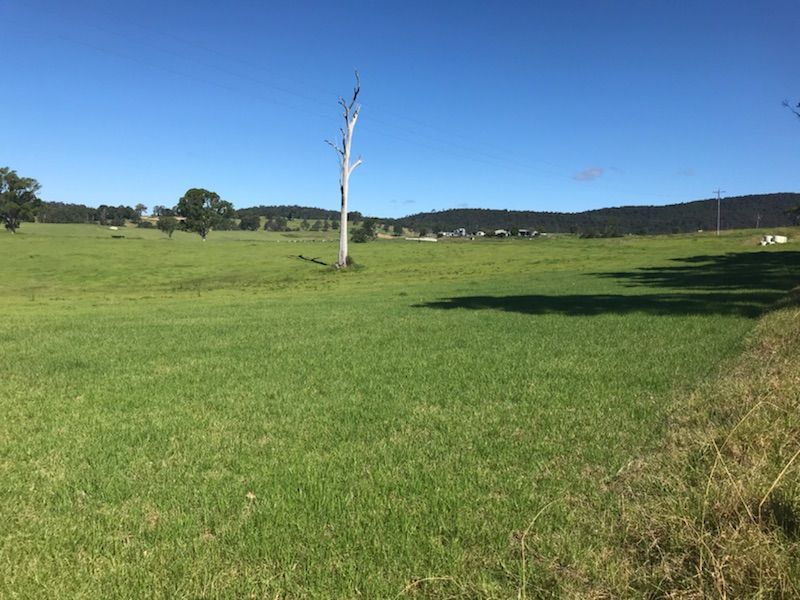 LOT 2161 Coolagolite Road, Coolagolite NSW 2550, Image 2