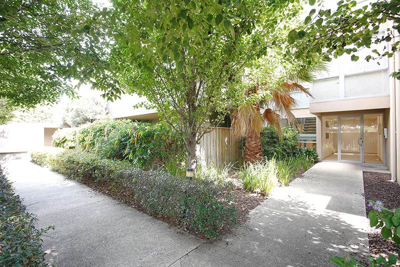 2 114 Mason Street Newport Vic 3015 Apartment For Rent 390 00 Domain