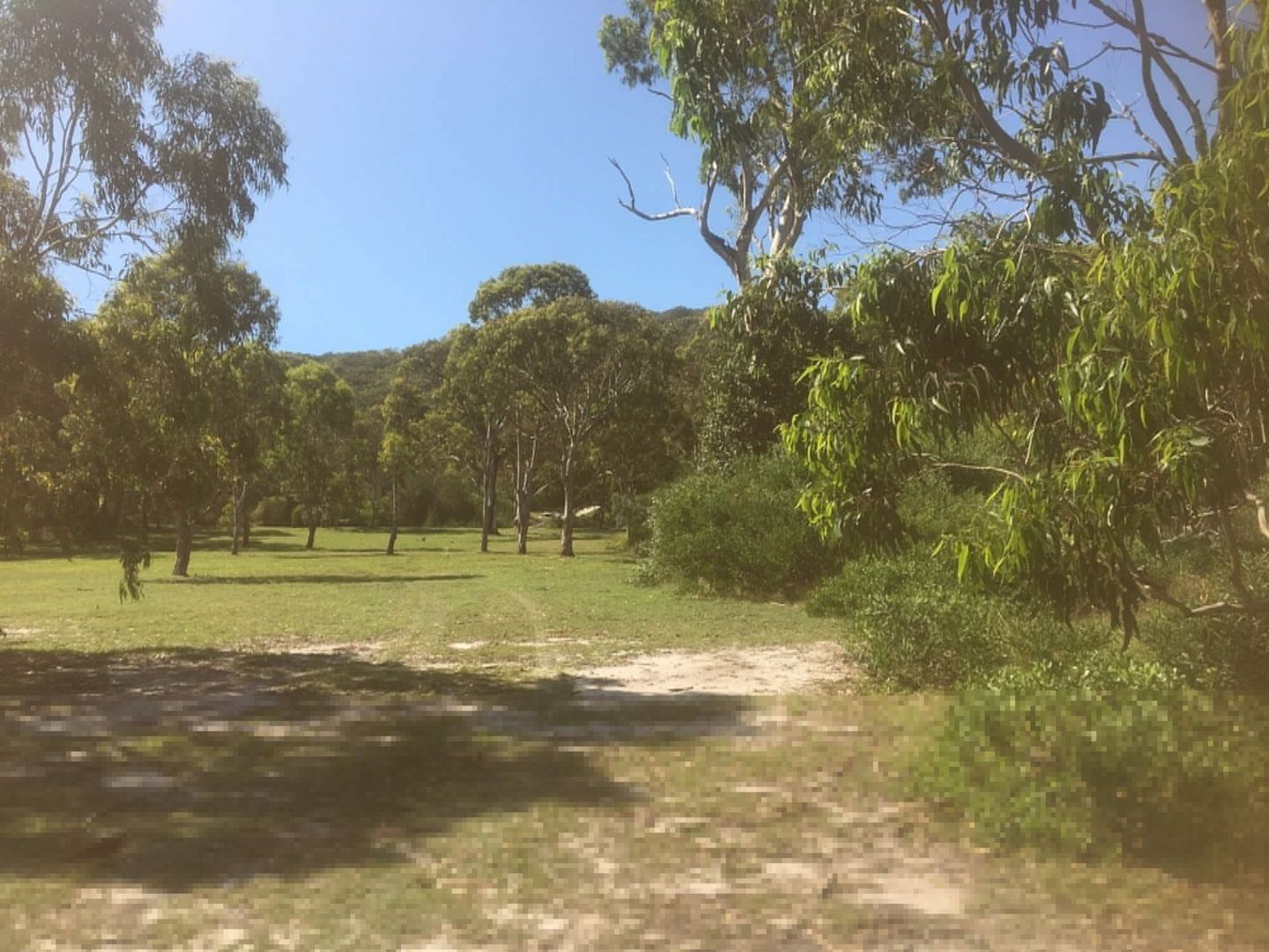 31 Marlin Circuit, Hat Head NSW 2440, Image 1