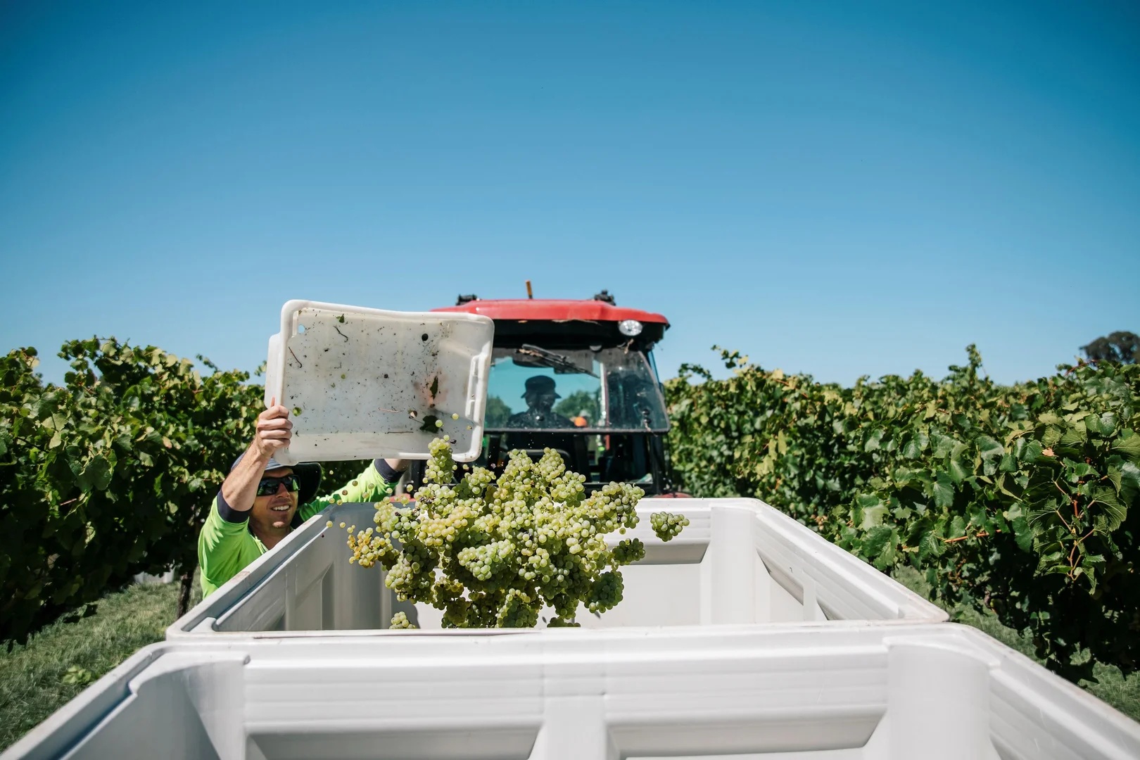 Additional image 19 of 9 Patemans Lane, Murrumbateman NSW 2582