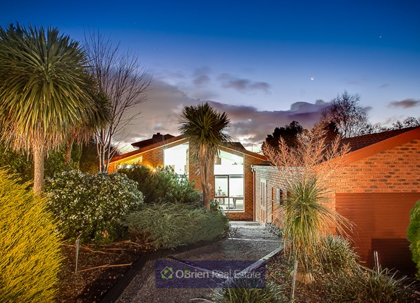 19 Balfour Court, Berwick VIC 3806