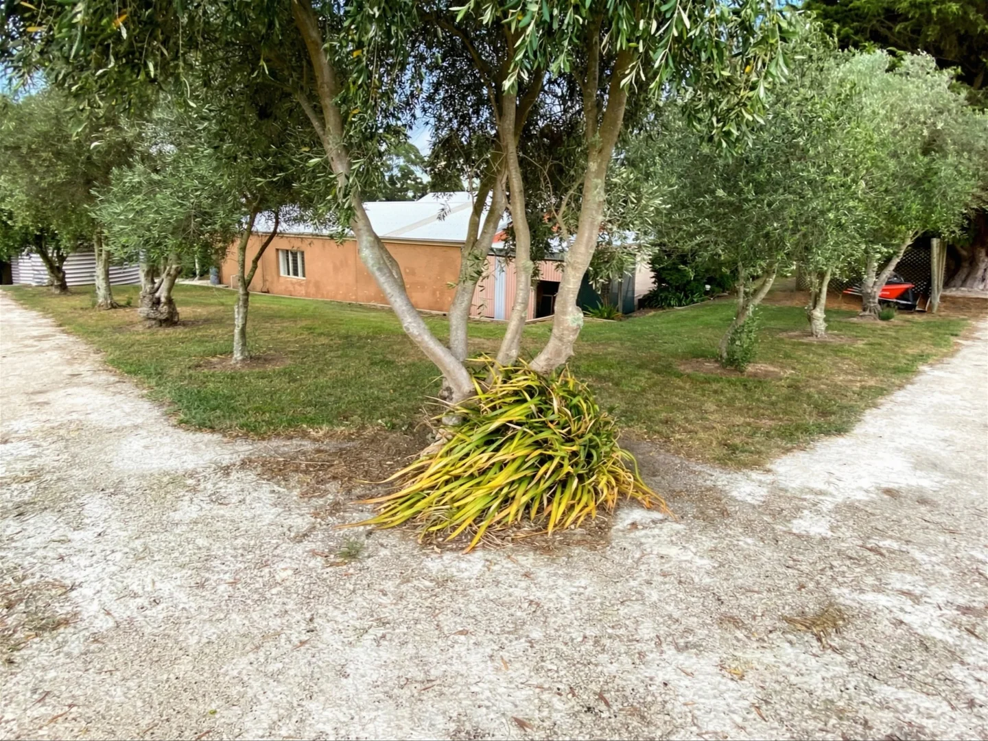 Image 10