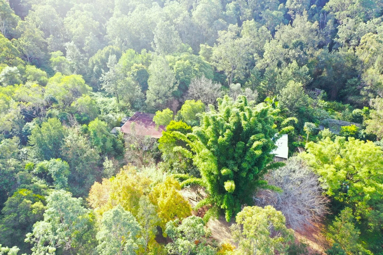 Image 12