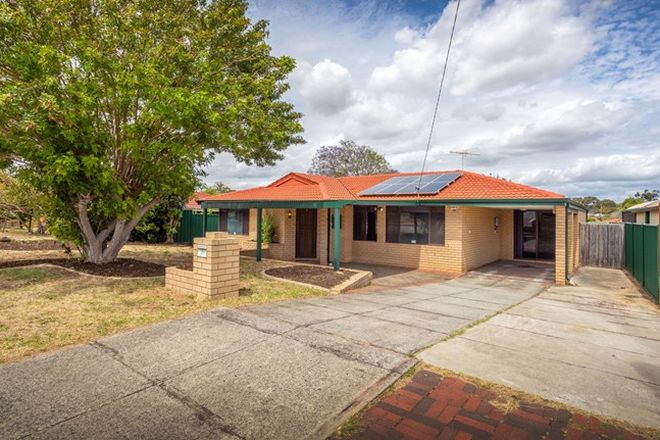 Picture of 88 Dryandra Drive, MIRRABOOKA WA 6061