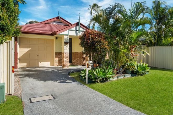 Picture of 6 Lamington Place, LOGANHOLME QLD 4129