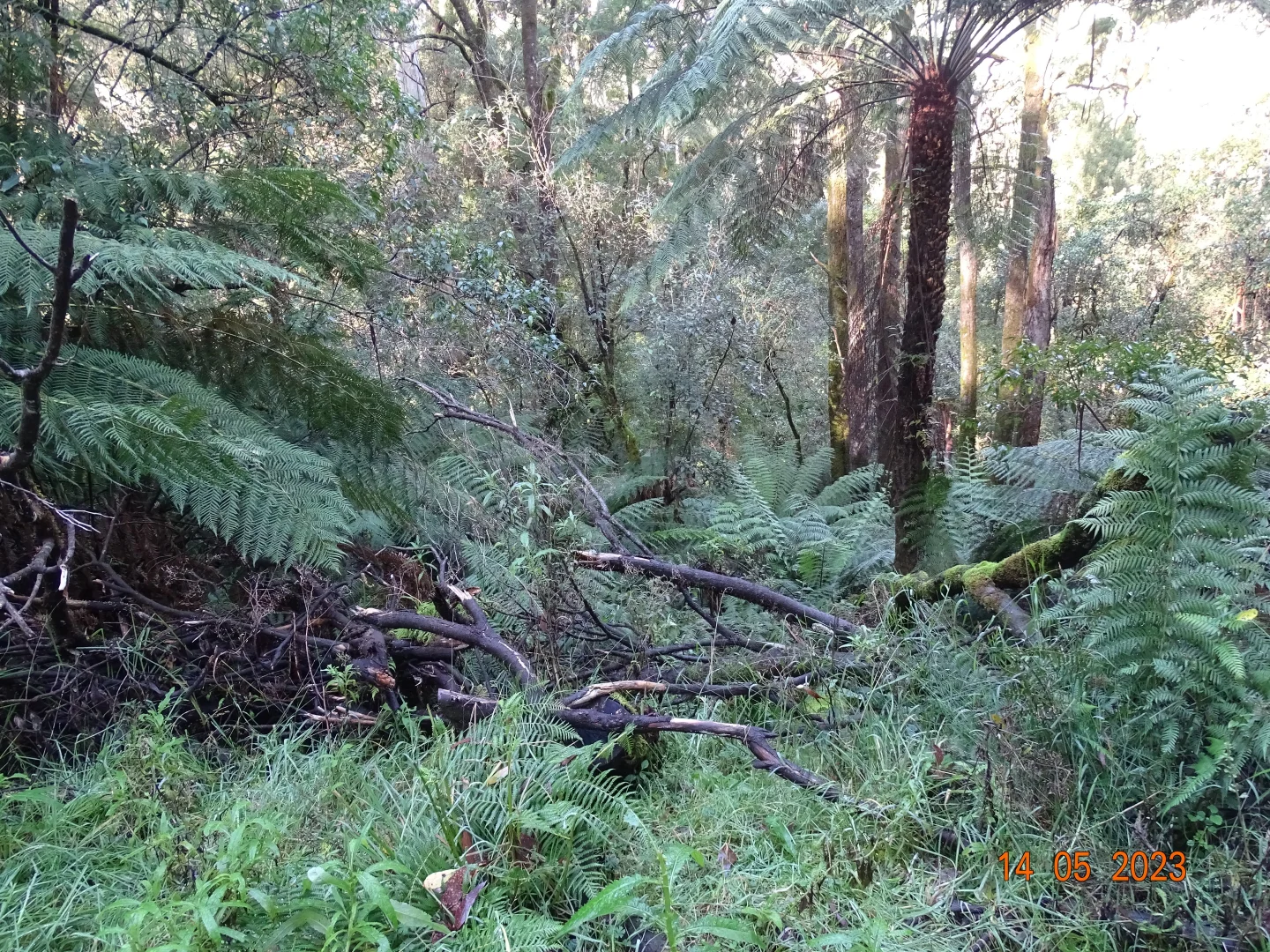 Image 11