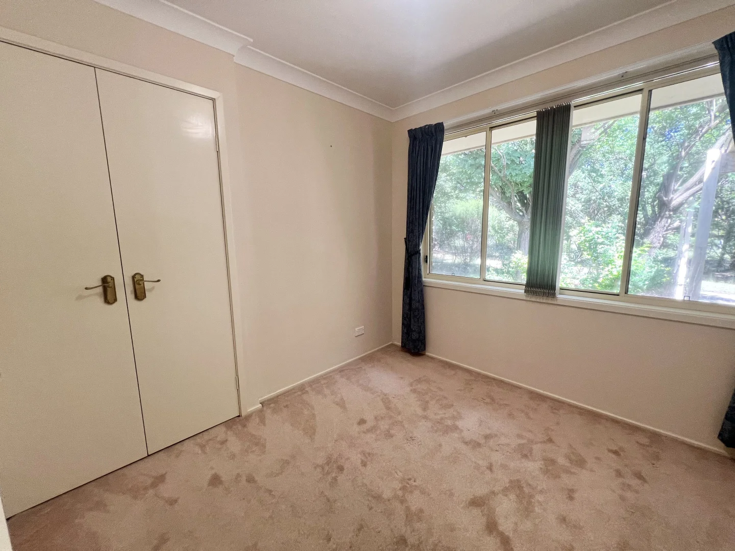 Additional image 14 of 139 Dairy Road, The Oaks NSW 2570