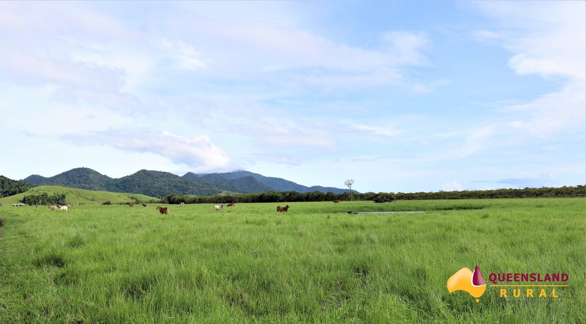 1353 Bramston Beach Road, Bramston Beach QLD 4871 House for Sale