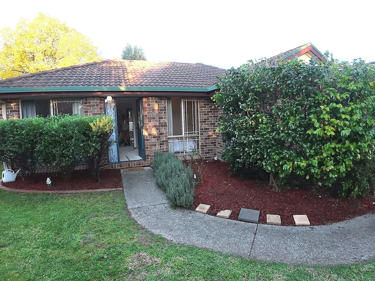 Image 1