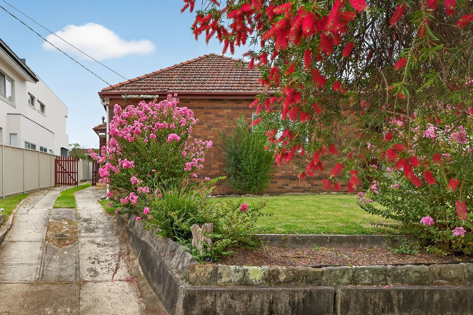 Image 20