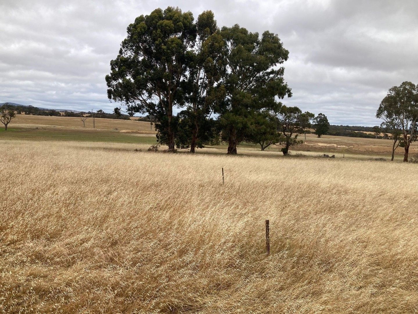 Lot 518 Carbarup Road, Kendenup WA 6323 Vacant Land for Sale 530,000