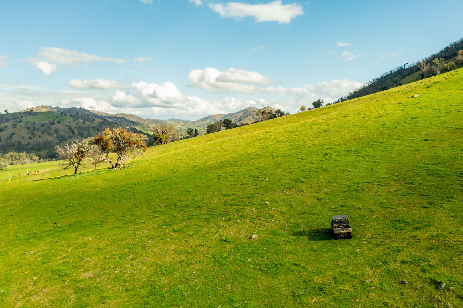 River Road, Jingellic NSW 2642, Image 1