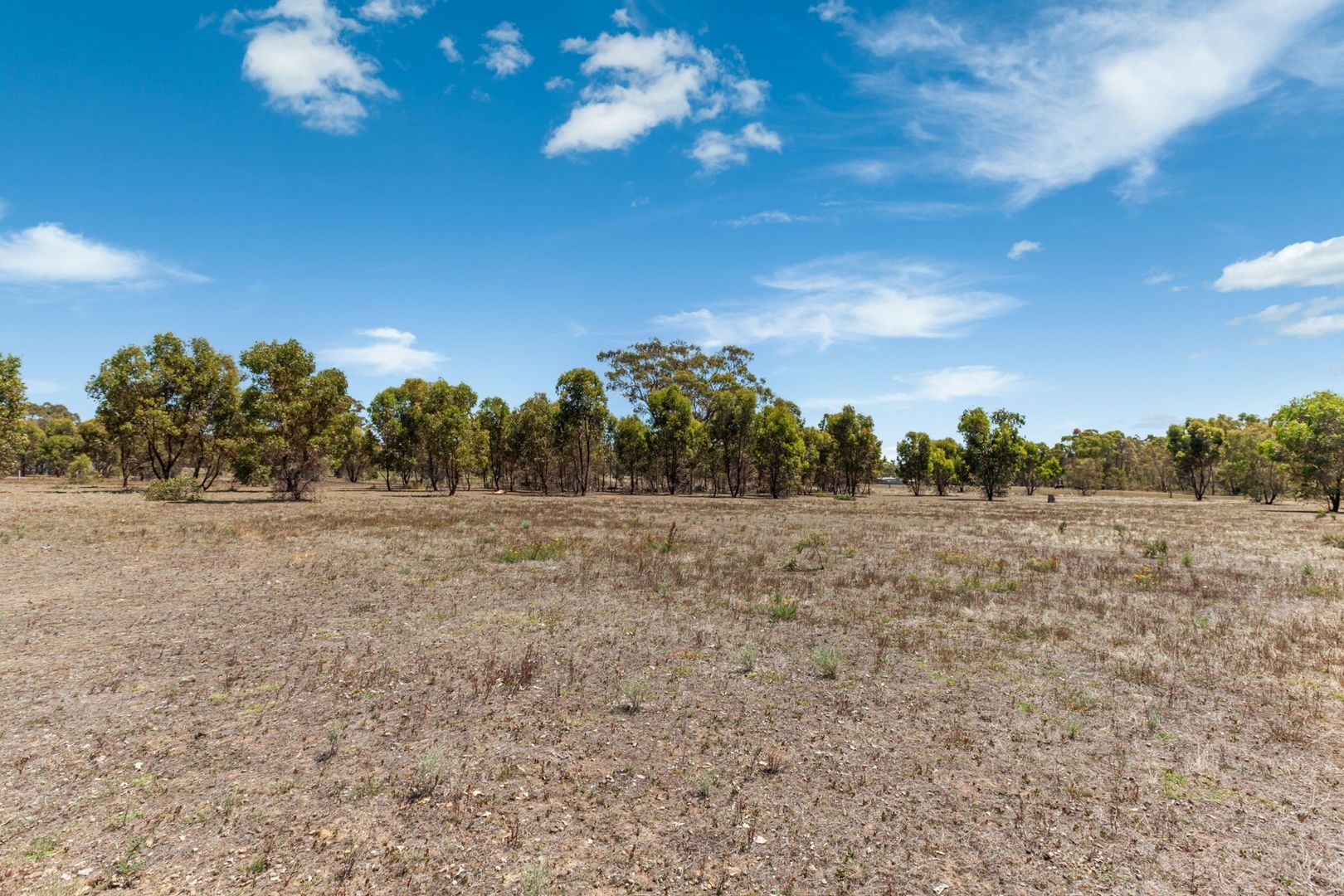 Lot 3 Dealba Road, Mount Camel VIC 3523, Image 1