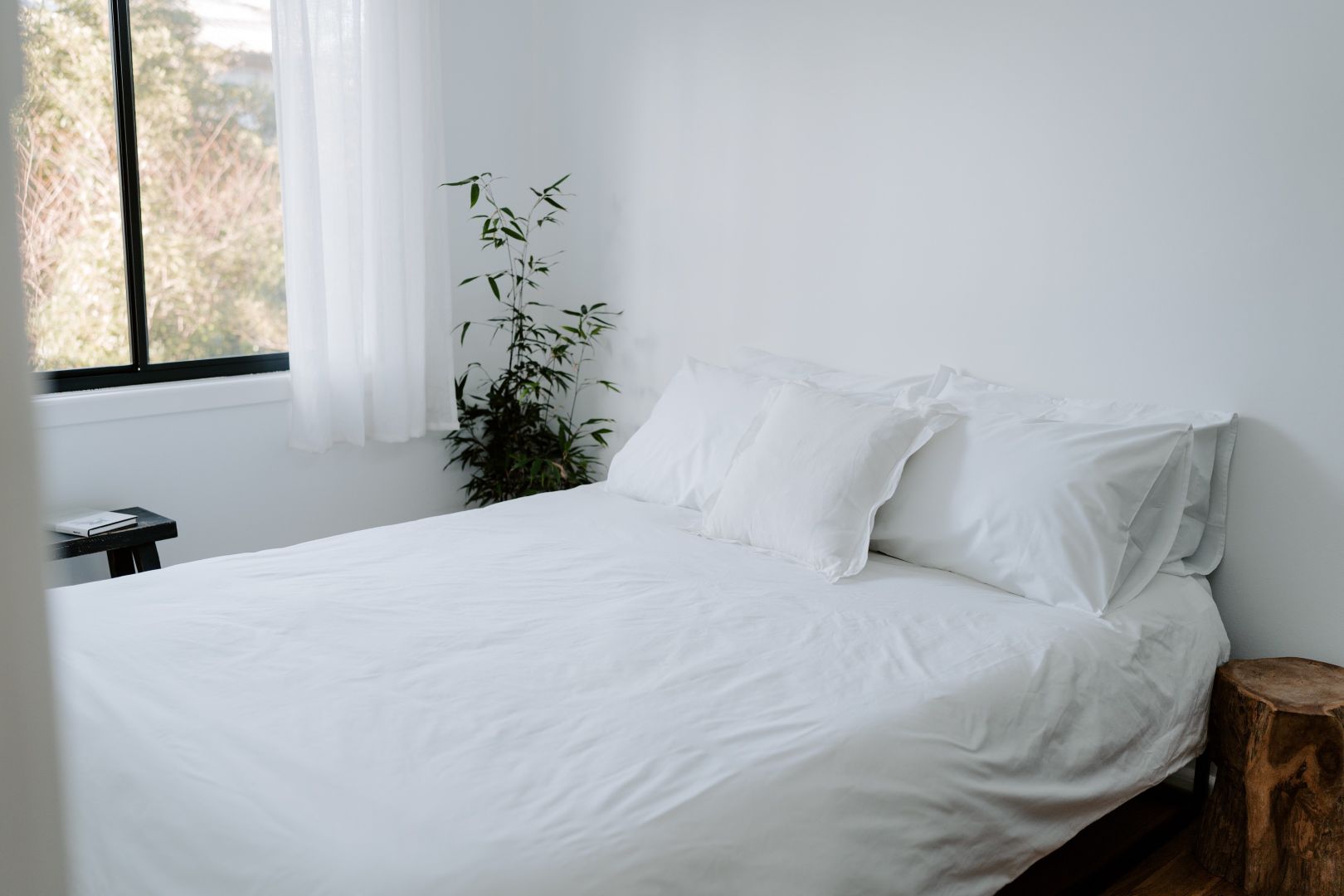 5 Page Street, Old Erowal Bay NSW 2540 Domain