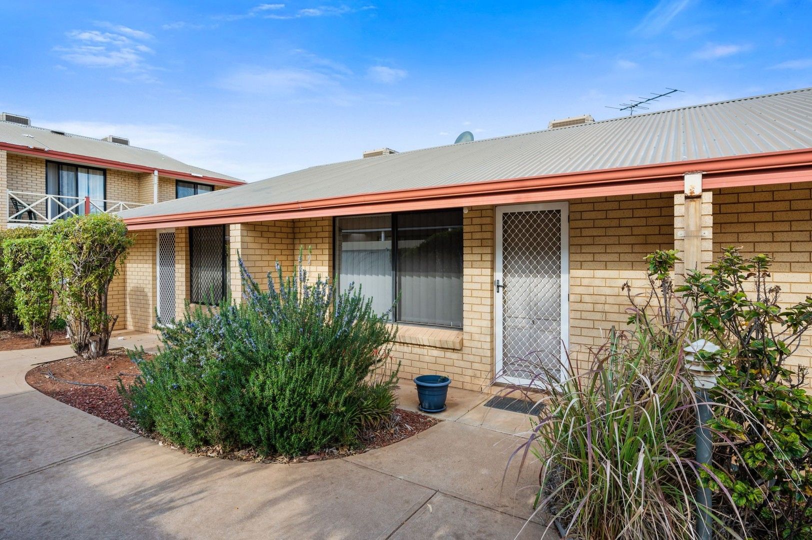 1 bedrooms Apartment / Unit / Flat in 3/191 Egan Street KALGOORLIE WA, 6430