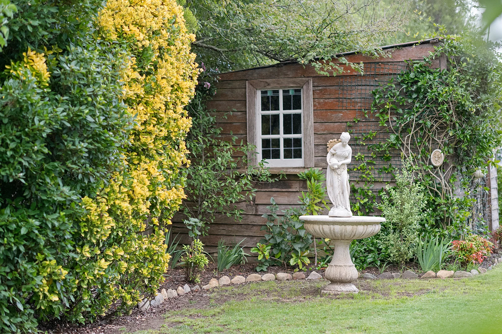 Image 22