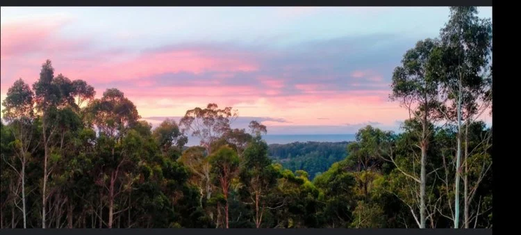 Additional image 11 of Somerset TAS 7322