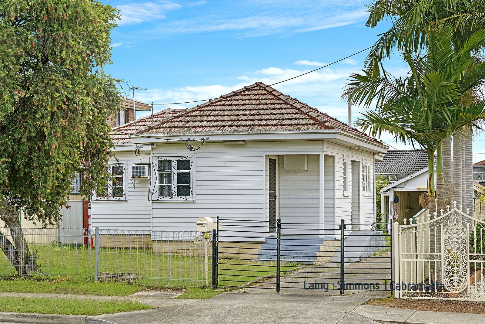 161 Canley Vale Road, Canley Heights NSW 2166, Image 0