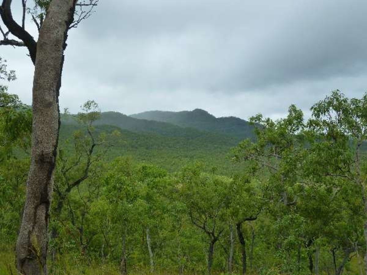 Lot 7 Emerald Falls Estate, Mareeba QLD 4880 Vacant Land for Sale