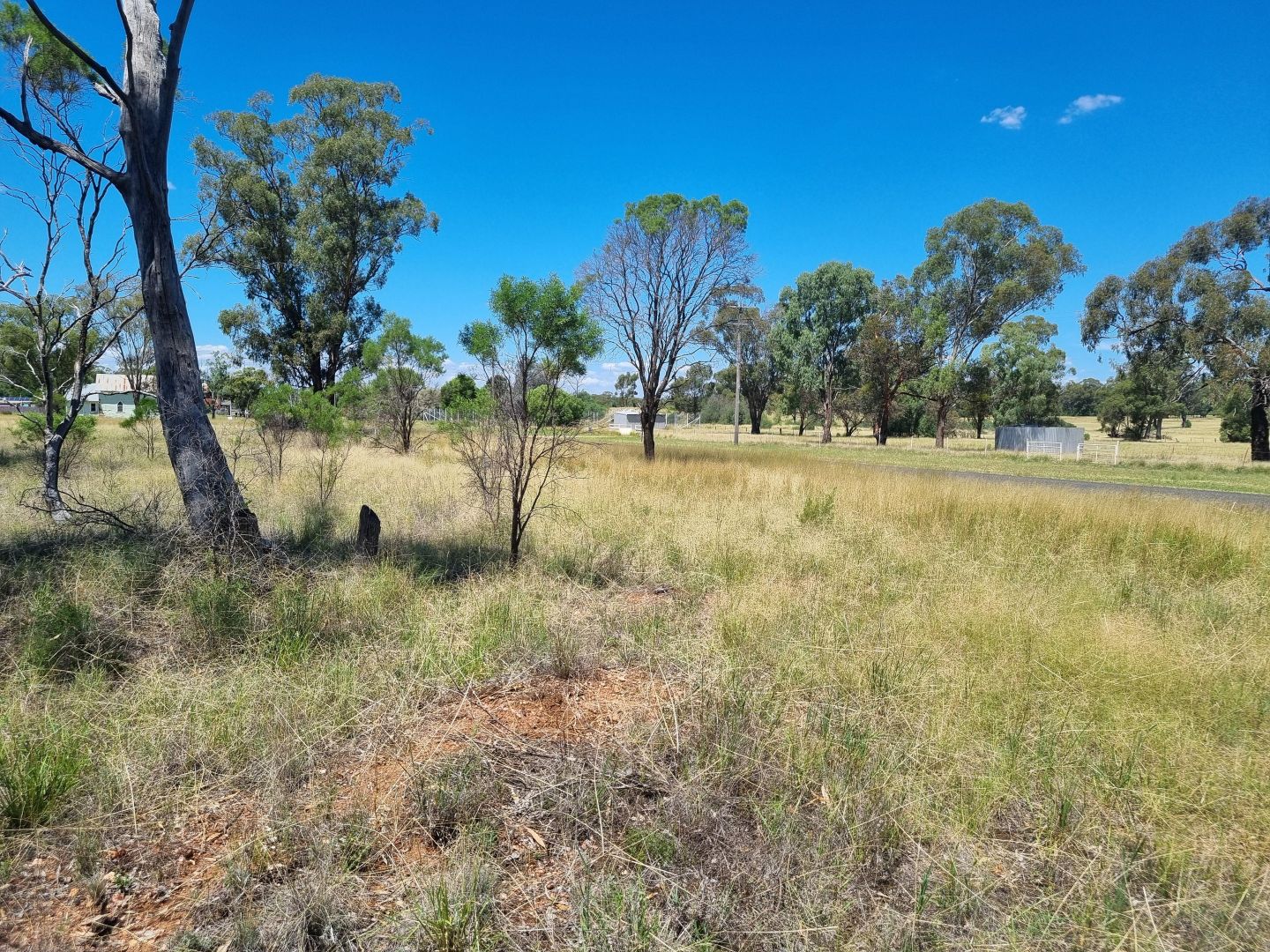 54 Slee Street, Fifield NSW 2875 Domain