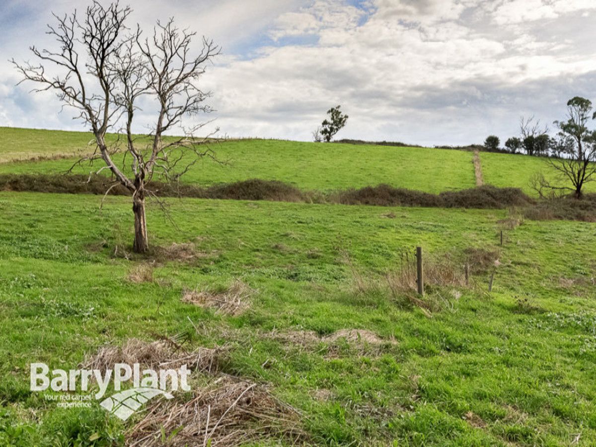 Lot 3 Ure Road, Gembrook VIC 3783, Image 2