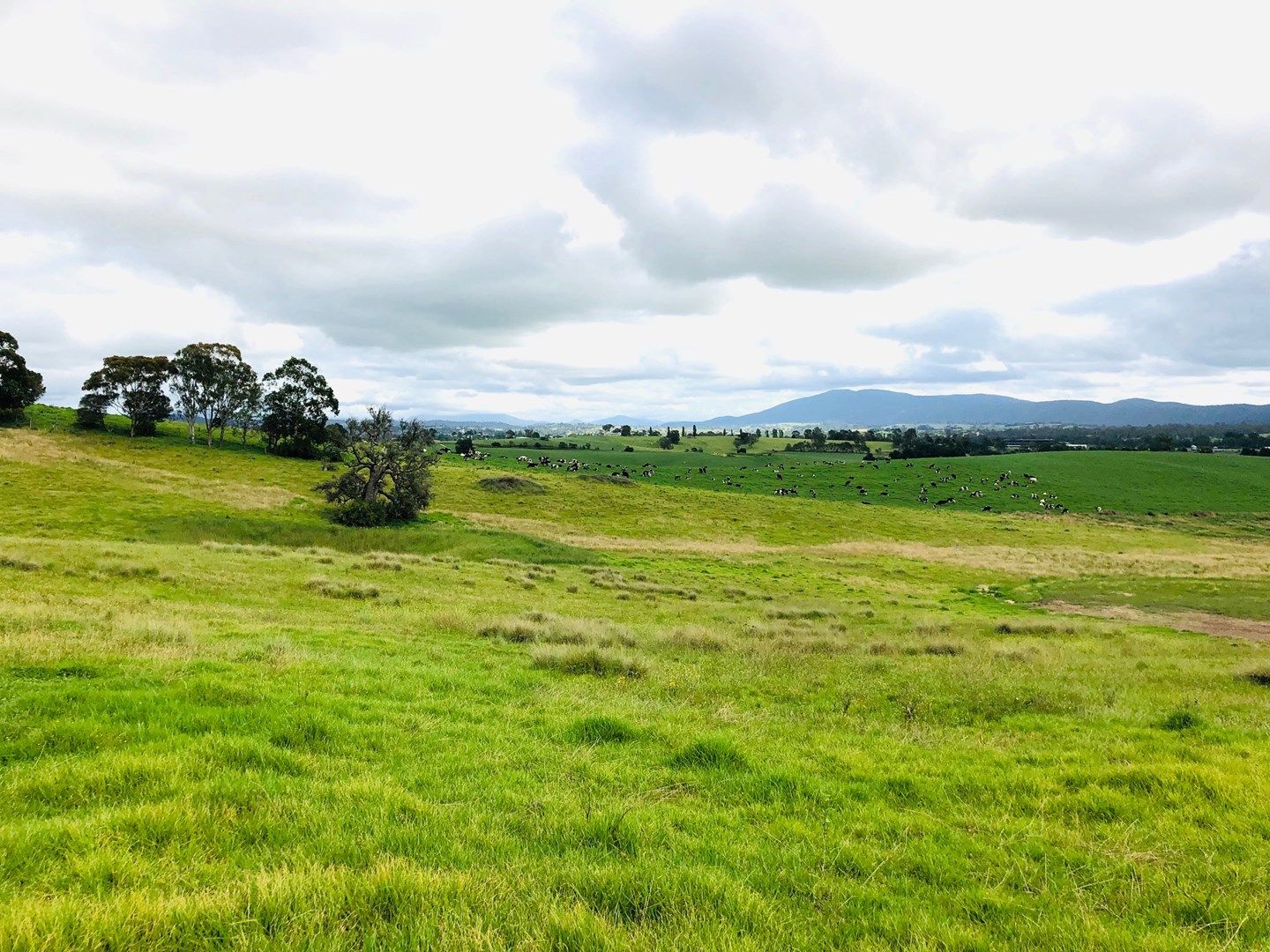 Lot 205 Barrumbarra Place, Bega NSW 2550, Image 0