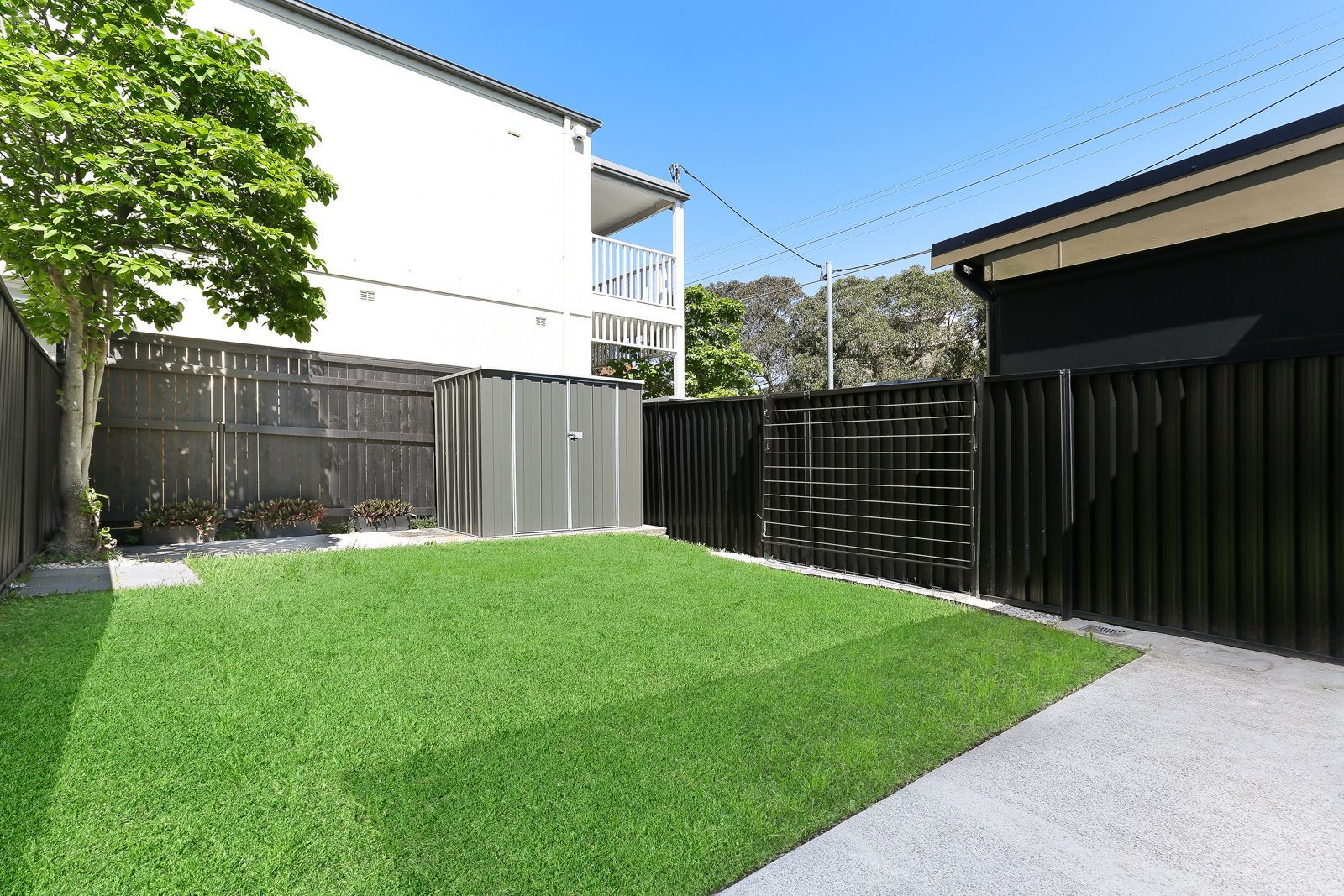 59 Hooper Street, Randwick NSW 2031, Image 0