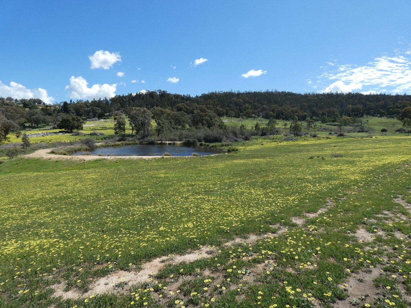 2063 Foggs Crossing Road, Reids Flat NSW 2586, Image 0