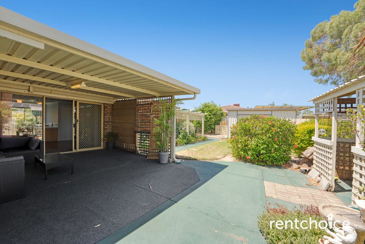 203 Elderberry Drive, South Lake WA 6164 House For Rent Domain