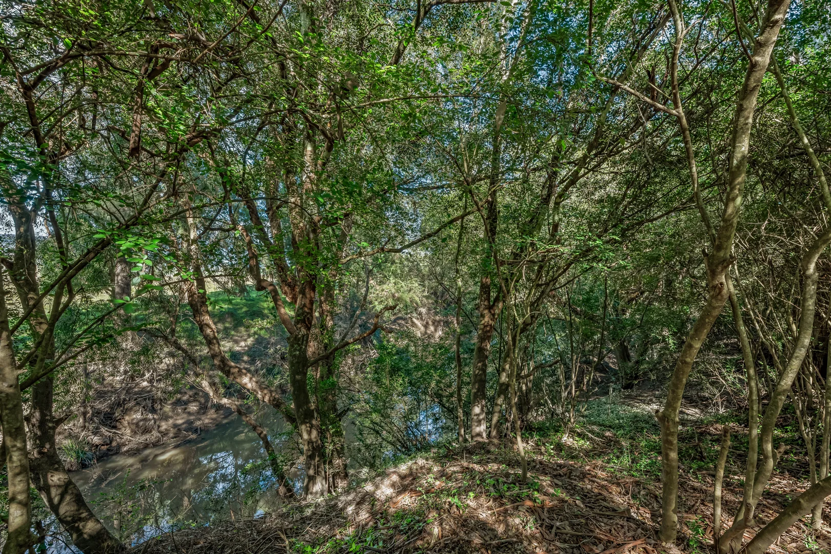 Image 15