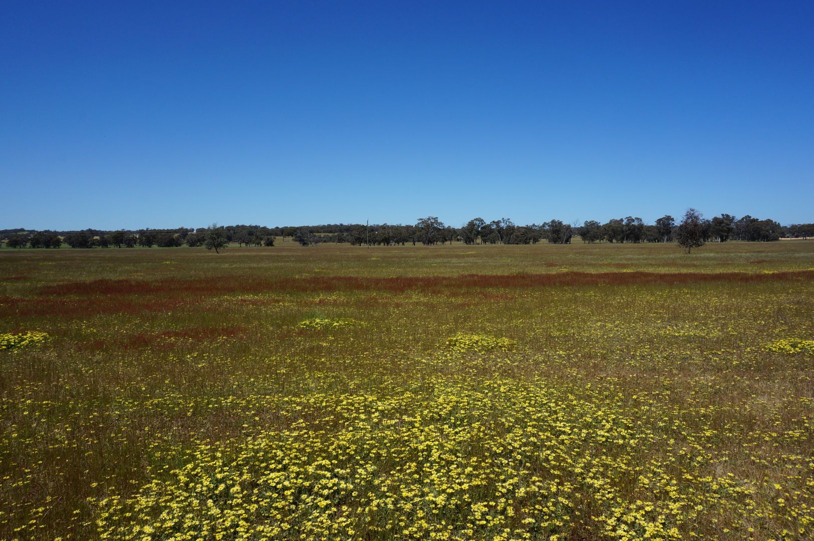 Lot 893 Kokendin Road, Beverley WA 6304, Image 2