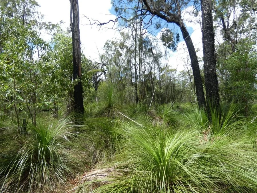 Additional image 17 of 960 Pacific Drive, Deepwater QLD 4674