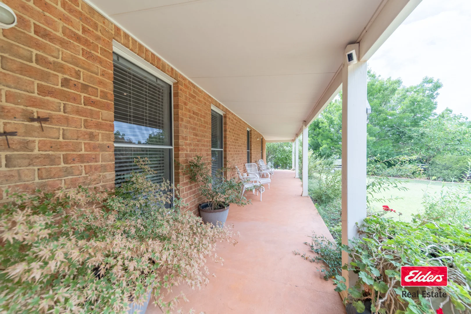 Image 19