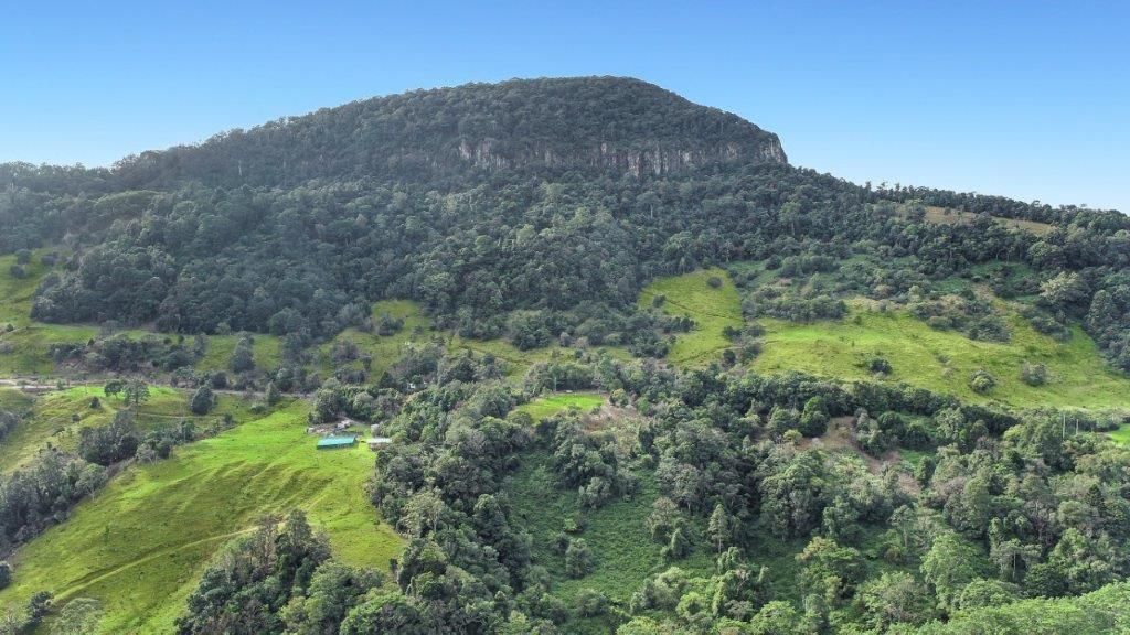 3482 Nerang Murwillumbah Road, Natural Bridge QLD 4211, Image 0