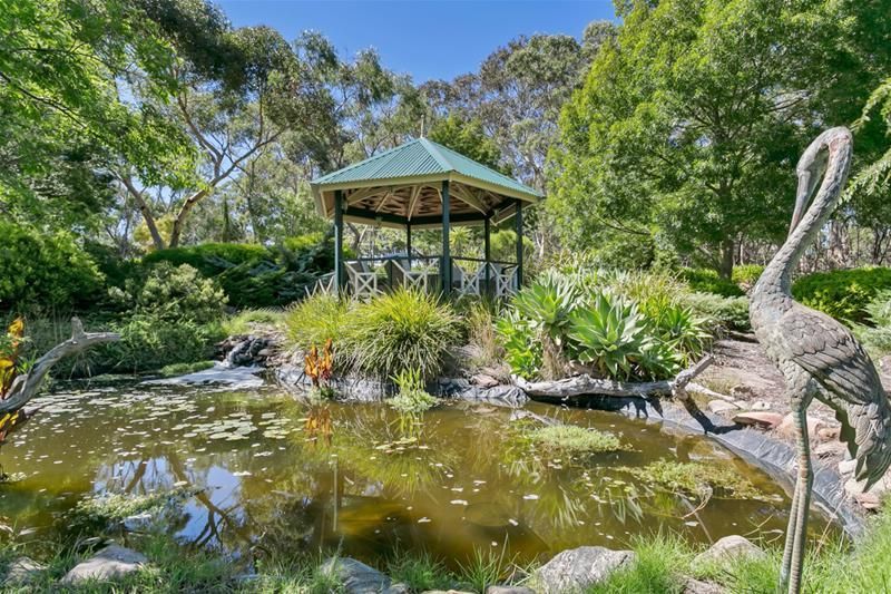 270 Thomas Hill Rd (Adjacent McLaren Vale), The Range SA 5172, Image 2