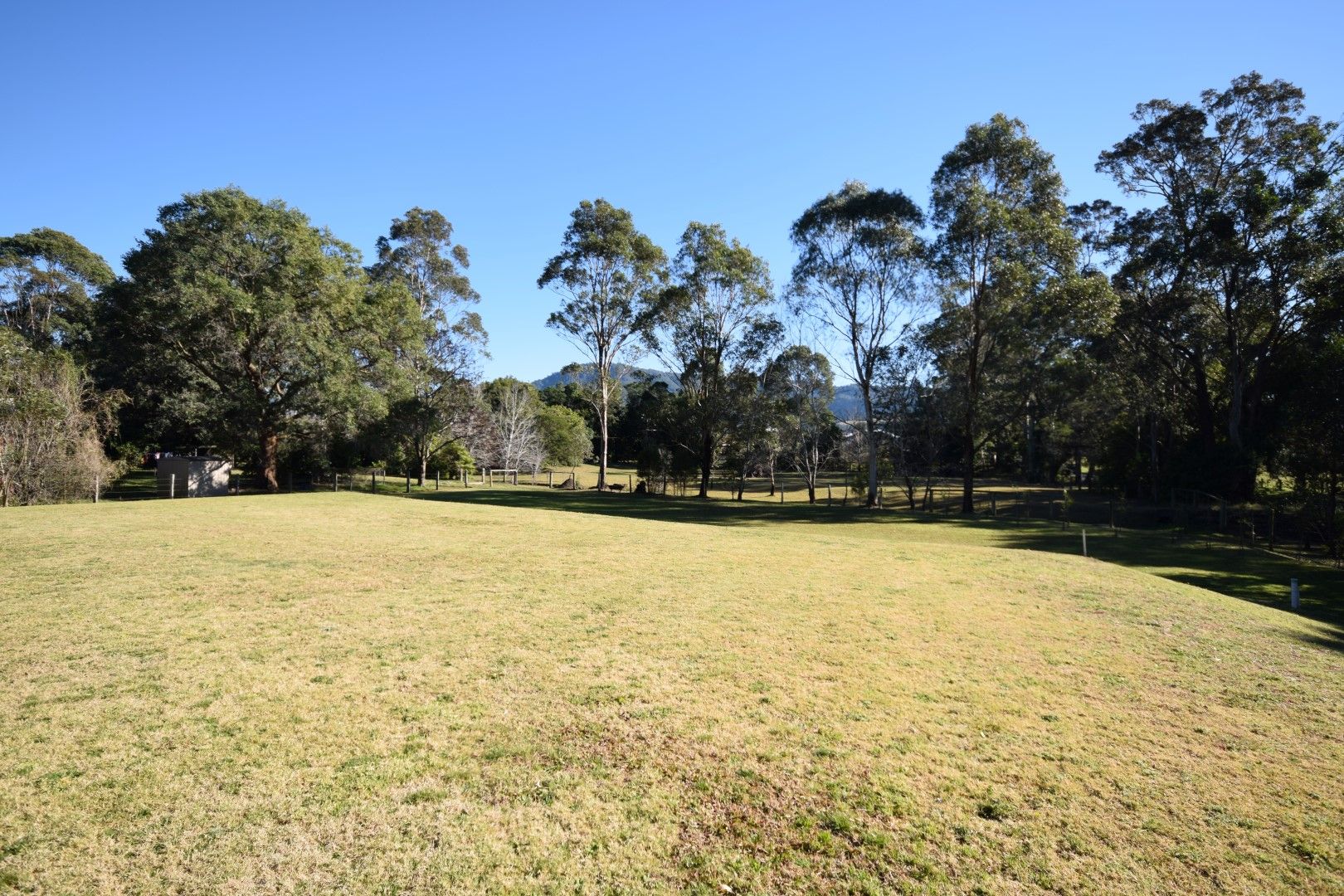 1B Halstead Place, Bomaderry NSW 2541, Image 2