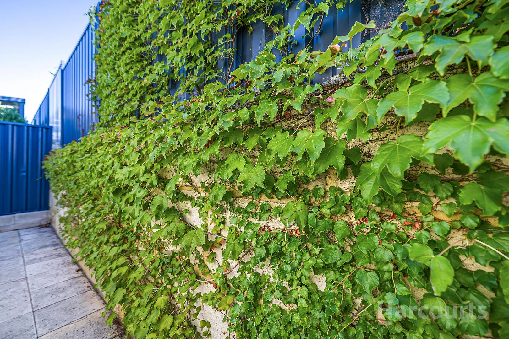 Additional image 33 of 23 Cabernet Loop, Pearsall WA 6065