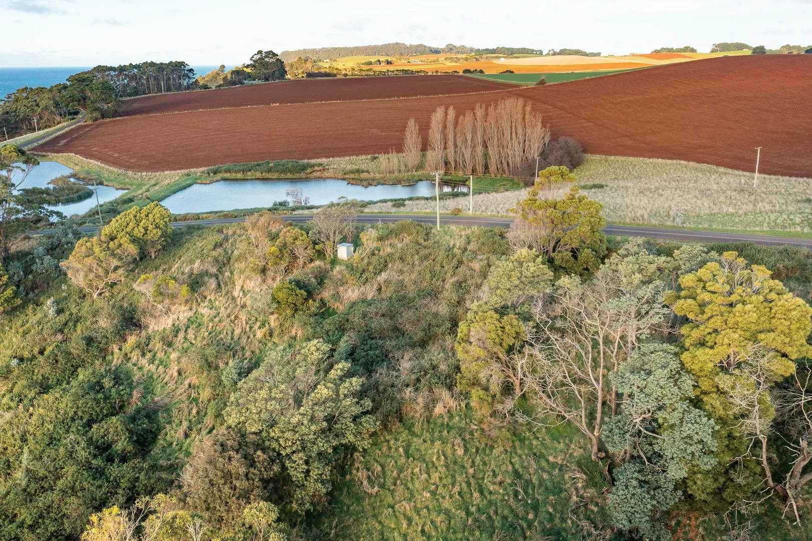 Additional image 22 of 472 Tollymore Road, Table Cape TAS 7325
