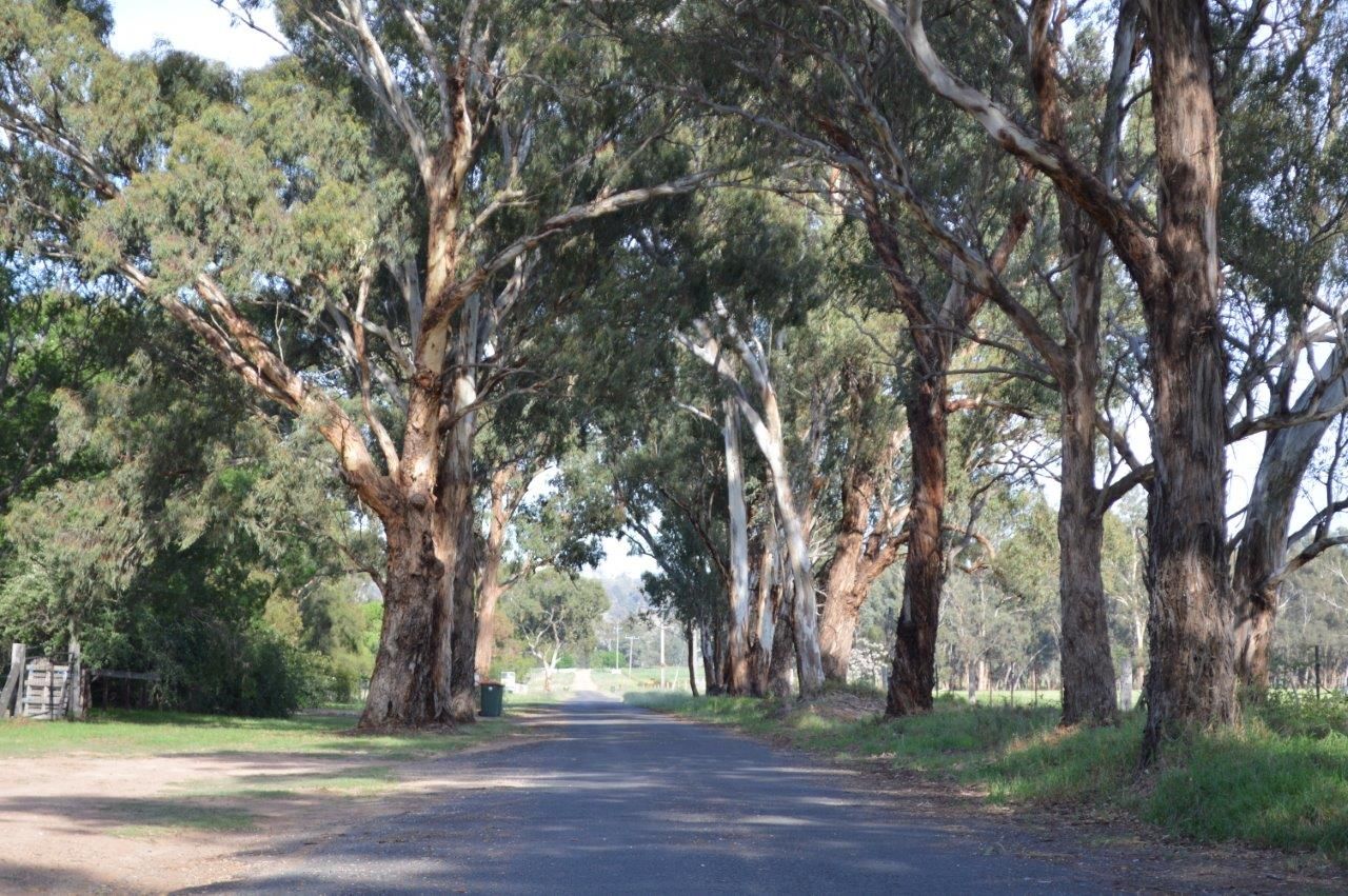 39 Mirrabooka Lane, Quirindi NSW 2343, Image 0