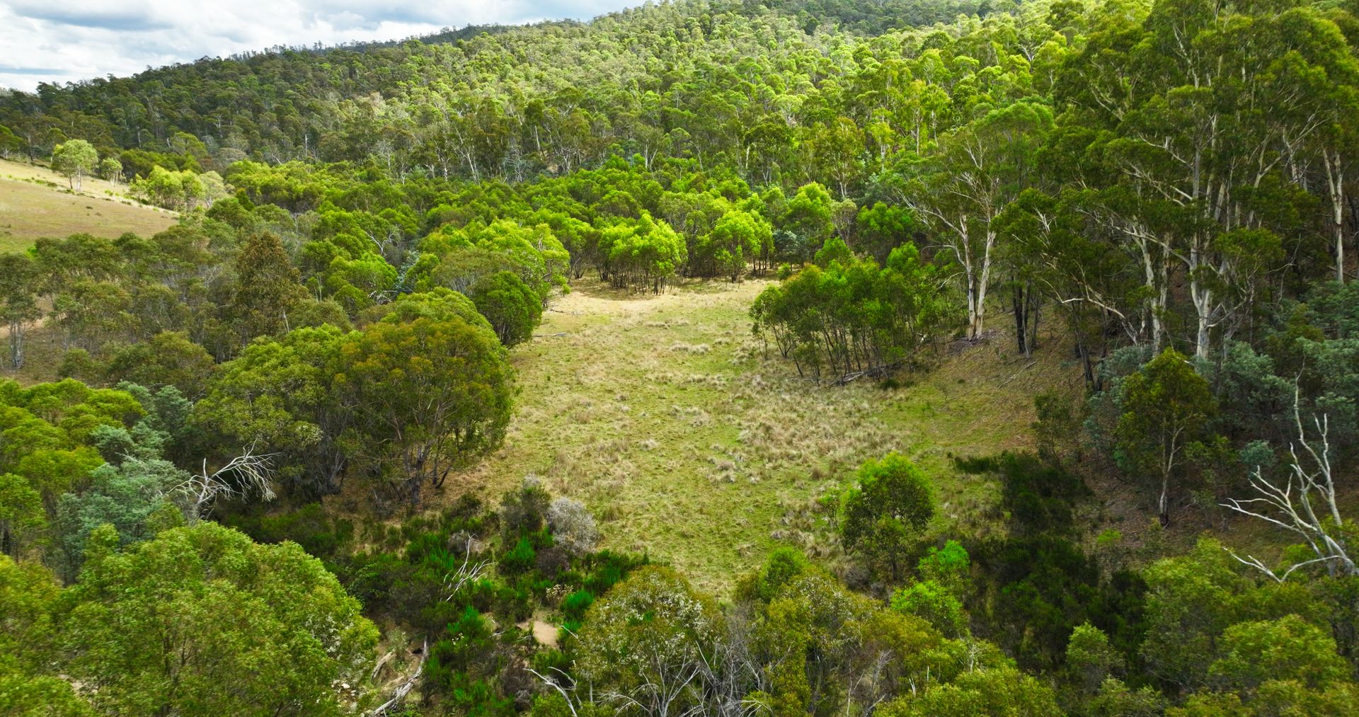 456 Bingo Tice Road, Omeo VIC 3898, Image 1