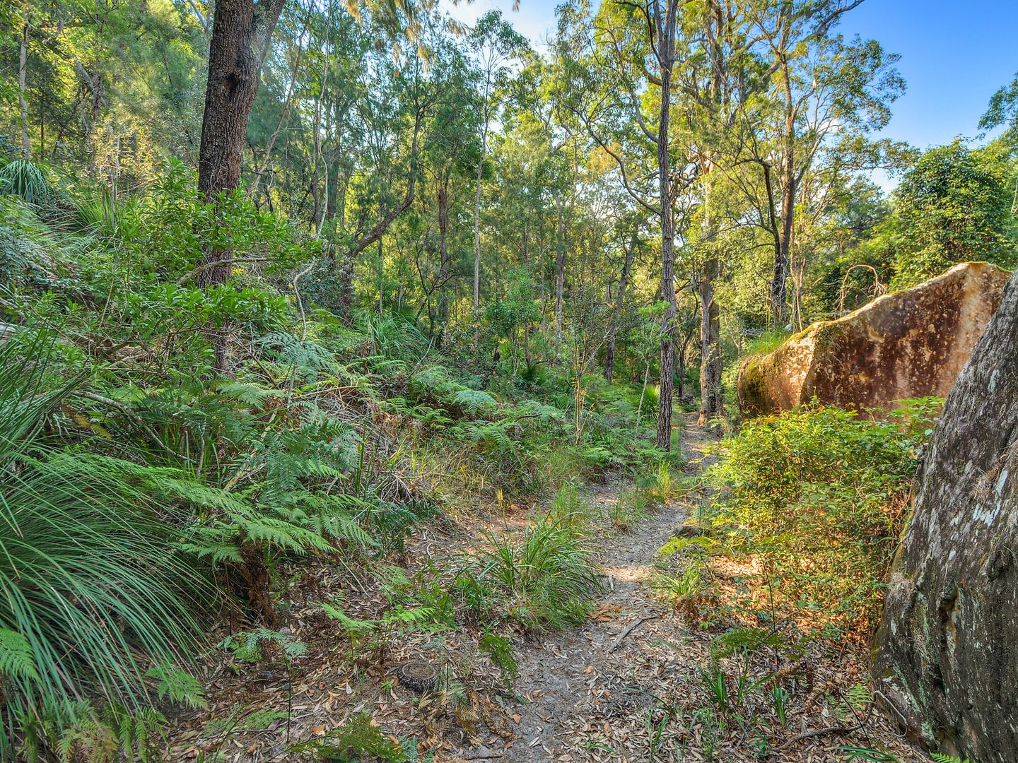 Lot 7 Big Jims Point, Bar Point NSW 2083, Image 1