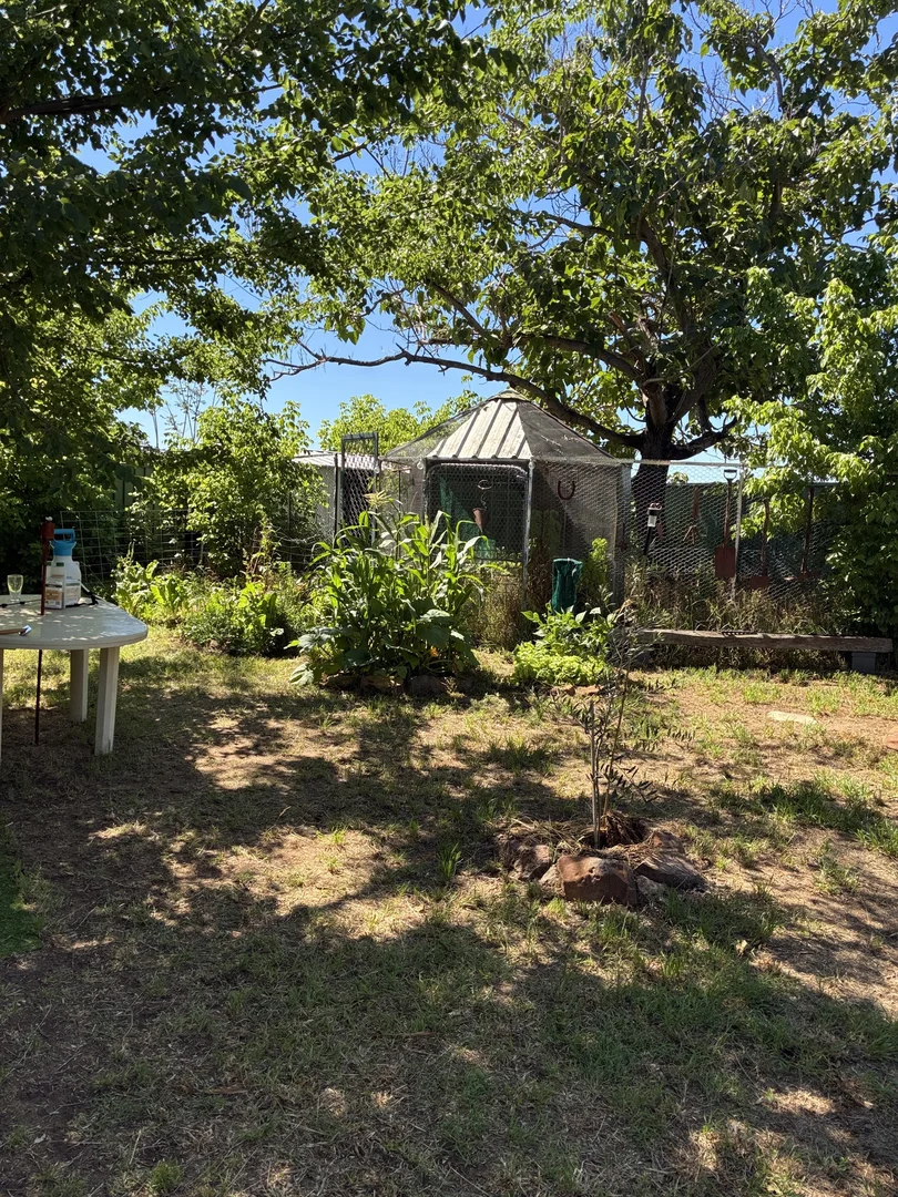 Image 20
