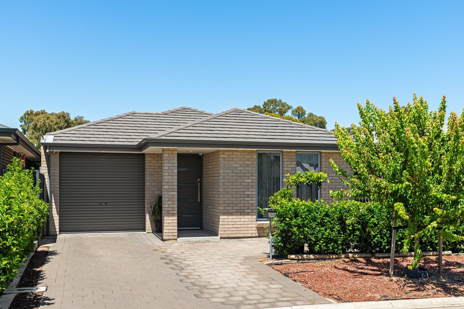 25 Piovesan Drive, Paralowie SA 5108, Image 0