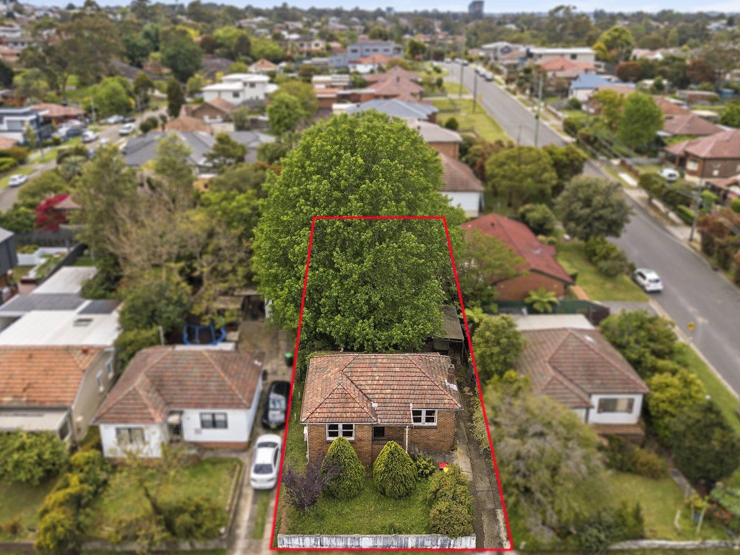 195 Buffalo Road, Ryde NSW 2112, Image 1