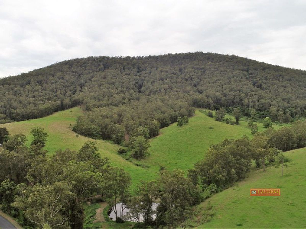 Lot 10, 1270 Nowendoc Road, Mount George NSW 2424, Image 1