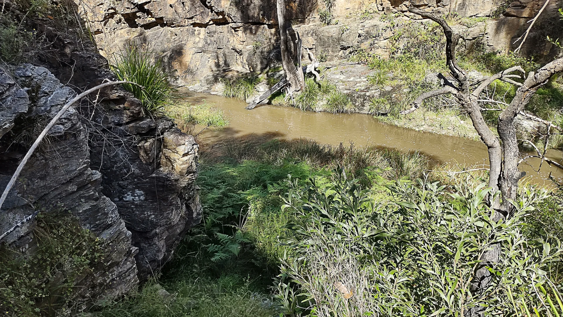 Additional image 2 of 307 Blomfield Road, Yarrowitch NSW 2354