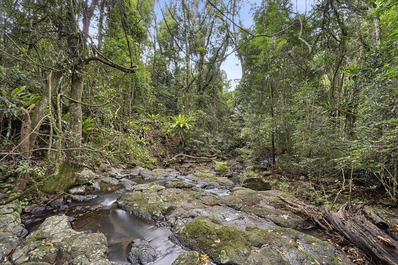 Image 15