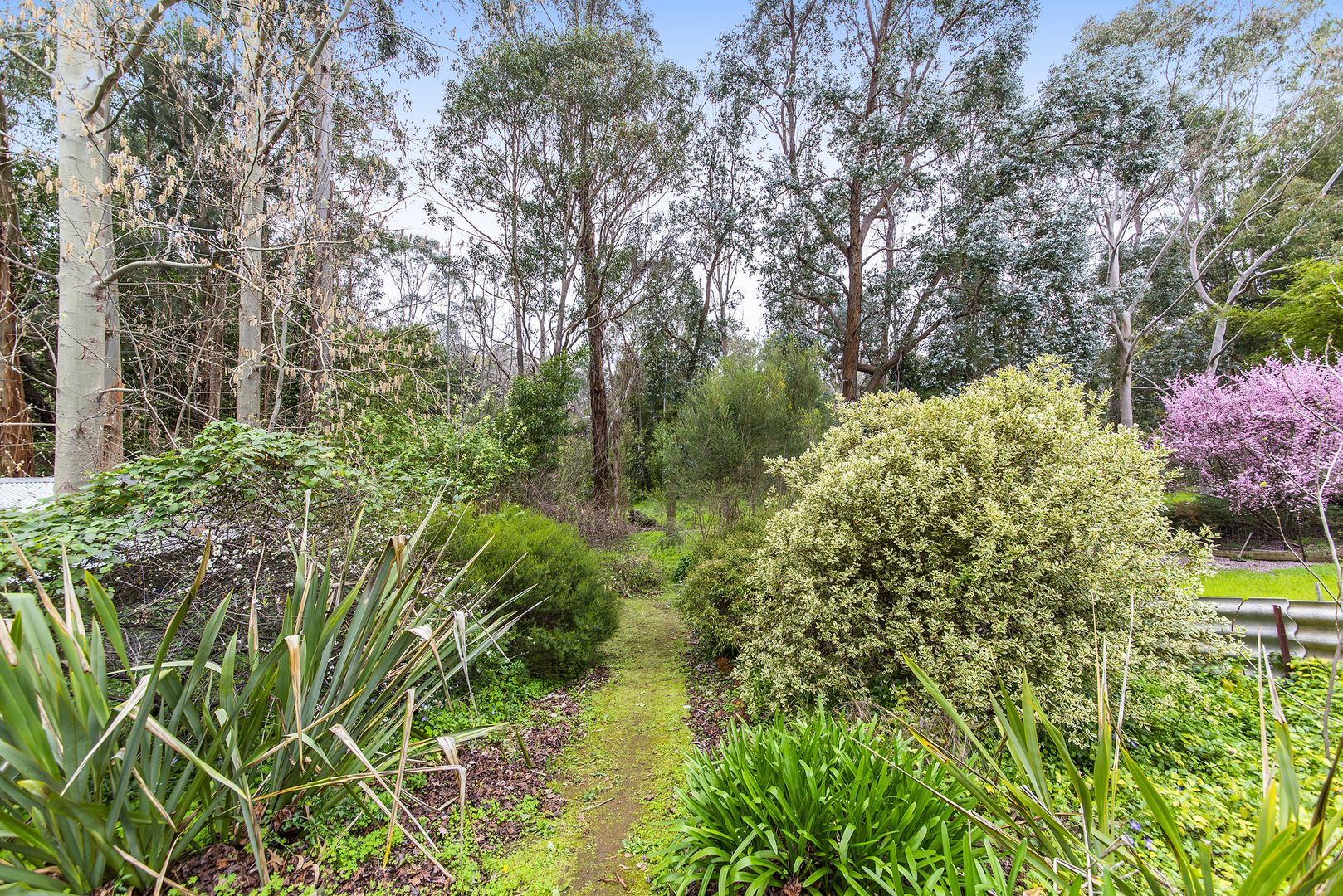 29 Grange Road, Nannup WA 6275, Image 1