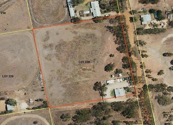 Lot 239 Barber Street, Moora WA 6510