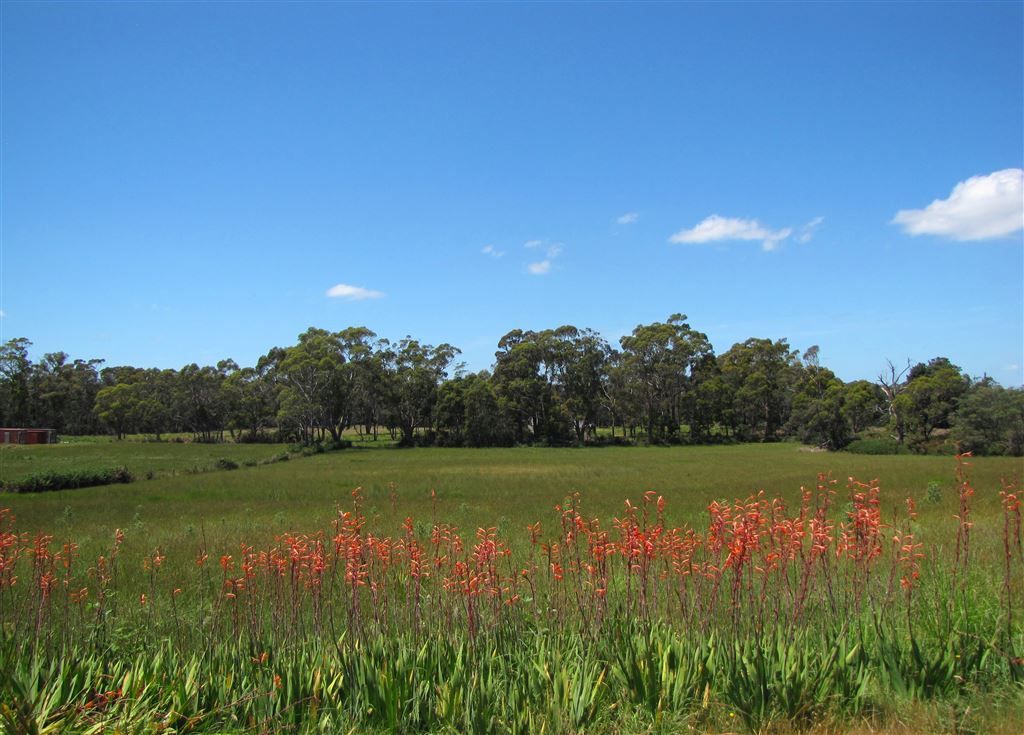 280 Weld Street, Beaconsfield TAS 7270, Image 0